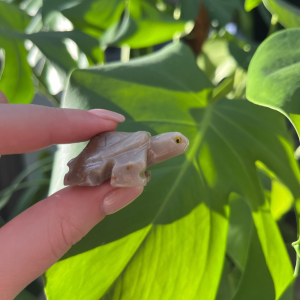 Speksteen schildpad. Speksteen werkt beschermend en kalmerend